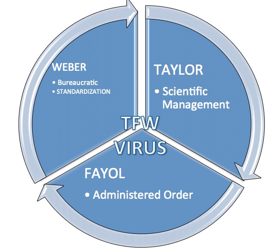 TFW virus