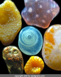A Grain
            of Sand — True Storytelling Tale by David Boje